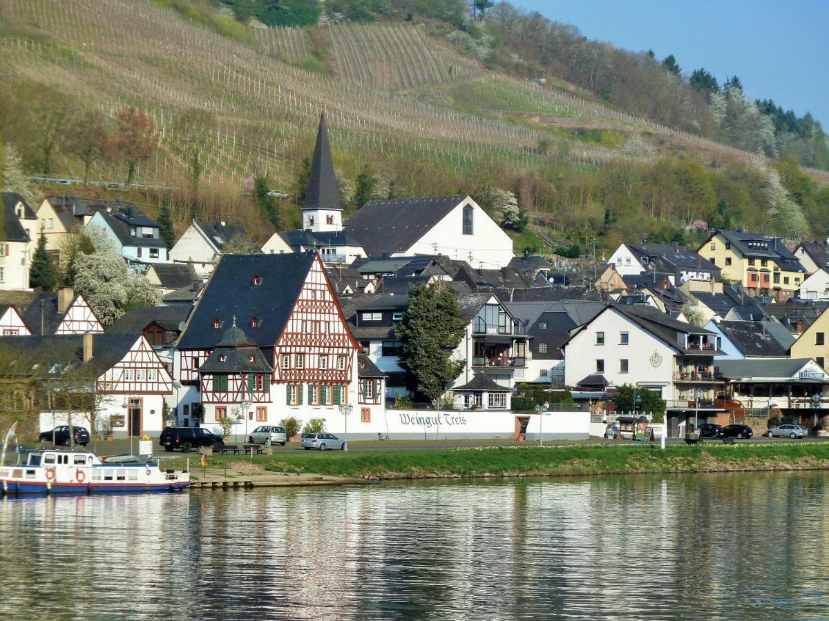 ツェル・アン・デル・モーゼルMosel Ausblickアパートメント エクステリア 写真